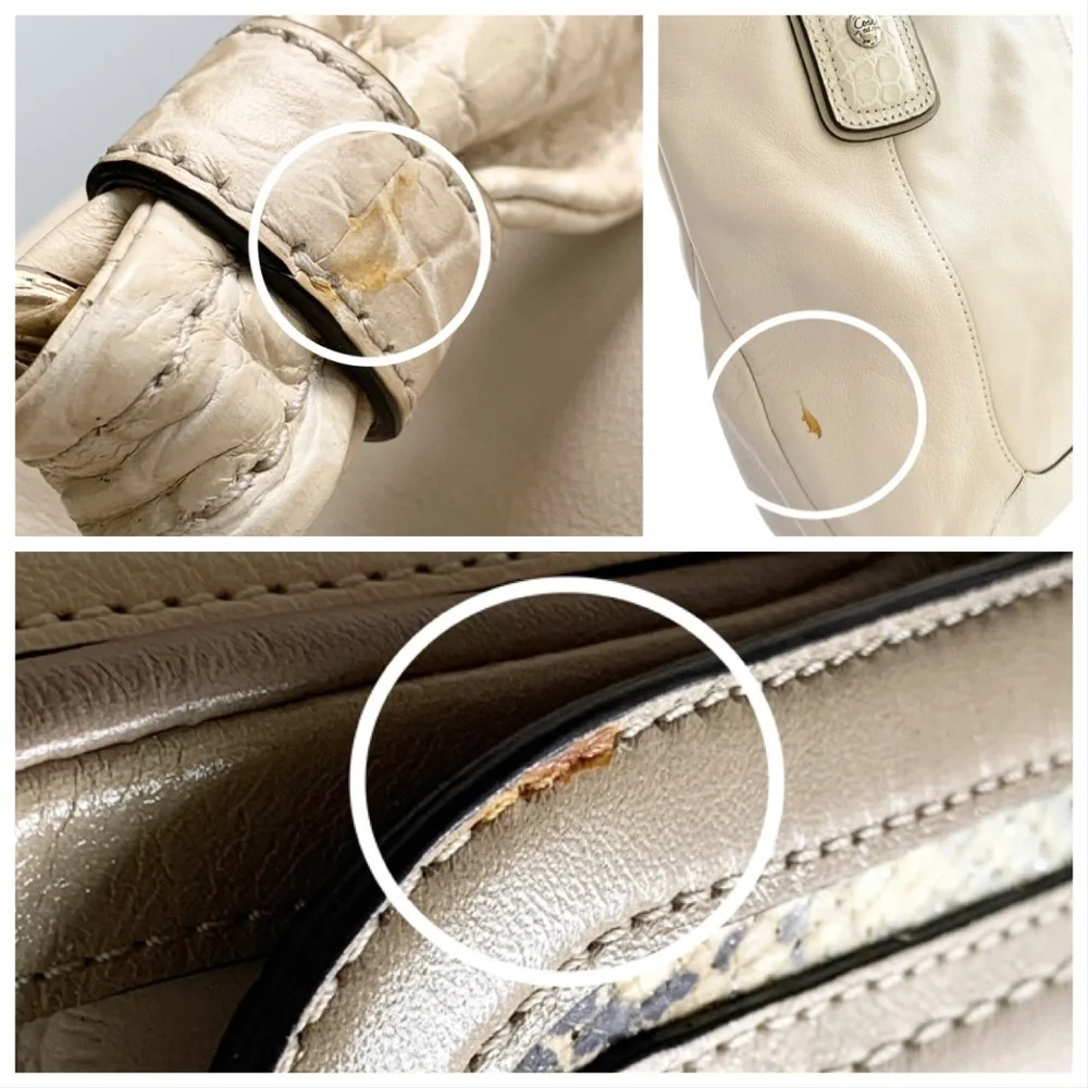 🌸Coach🌸 Leather Bag With Crocodile Accents Zip